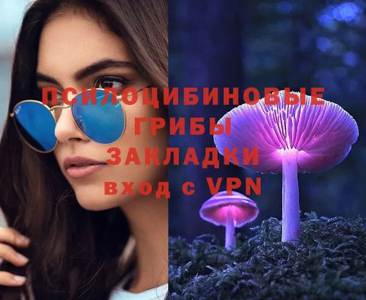 Псилоцибиновые грибы Psilocybe Алупка